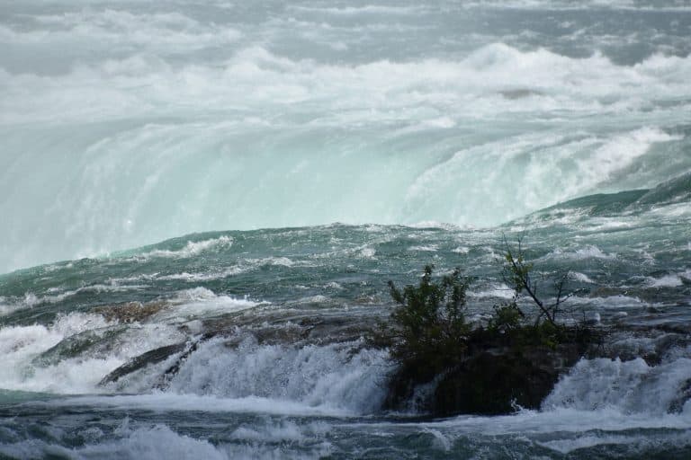 Niagara (27) (ナイアガラ)