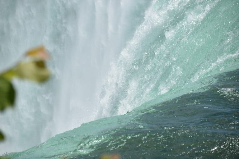 Niagara (31) (Niagara)