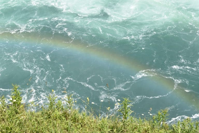 Niagara (36) (Niagara)