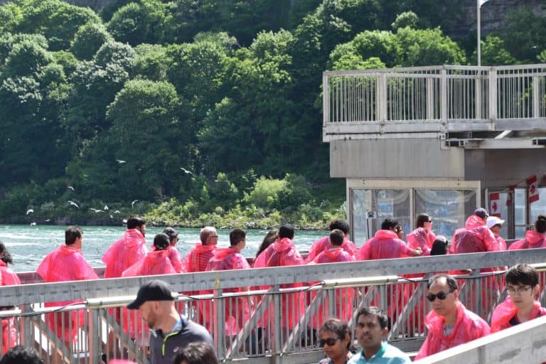 Niagara (53) (Niagara)