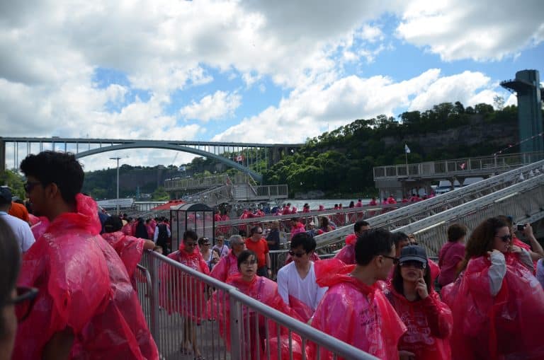 Niagara (6) (Niagara)