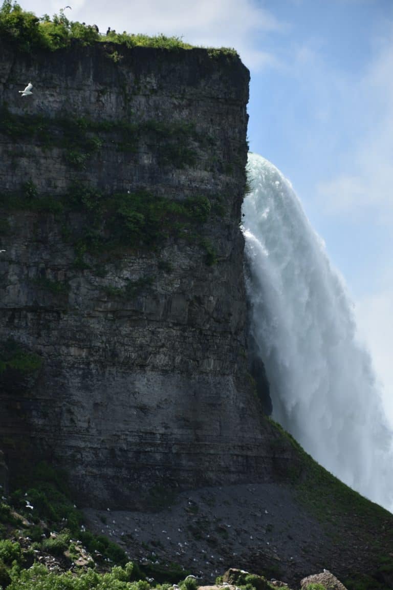 Niagara (7) (ナイアガラ)