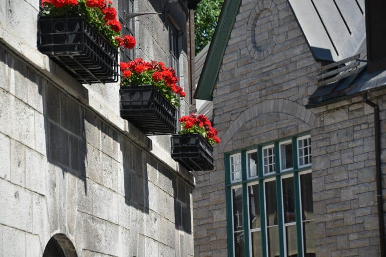 Quebec (54) (Québec)