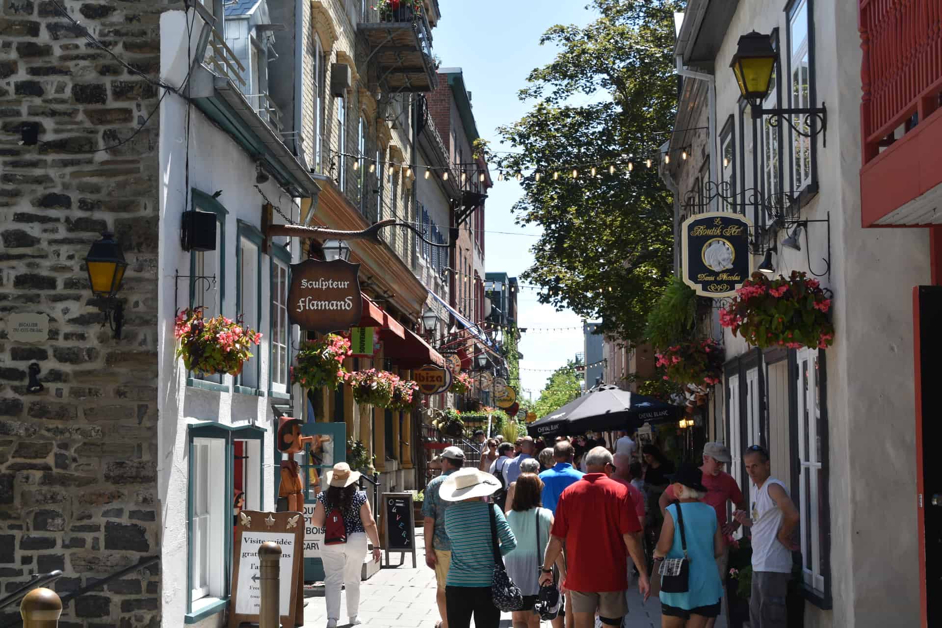 the delicious rabbit dishes in Quebec City