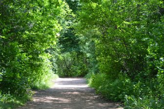 Canada-Prince Edward Island-Cavendish-Green Gables Heritage Place-Lovers' Lane