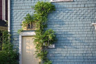 Canada-Prince Edward Island-Charlottetown-wooden house-ivy-door-number