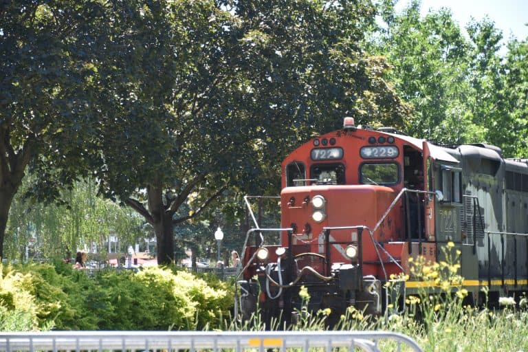 Montreal (43) (モントリオール)