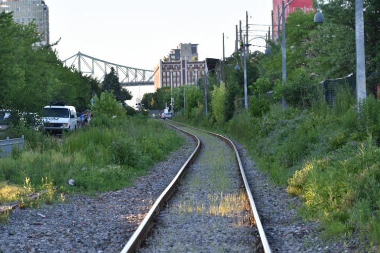 Montreal (9) (モントリオール)