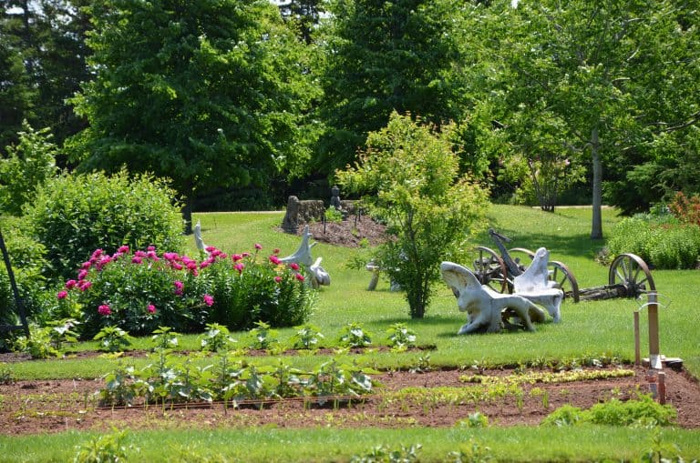 Prince Edward Island (12) (シャーロットタウンとその周辺)