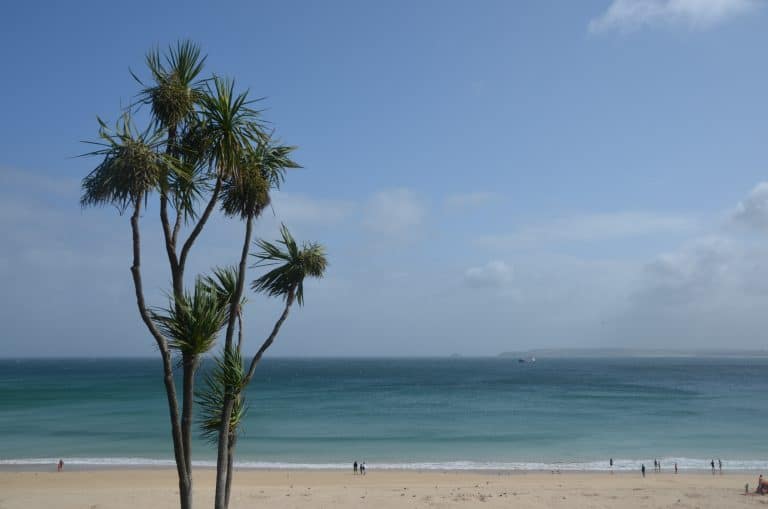 St Ives (104) (セント・アイヴス)