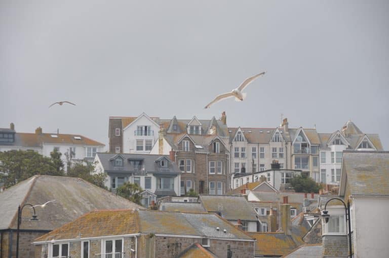St Ives (18) (セント・アイヴス)