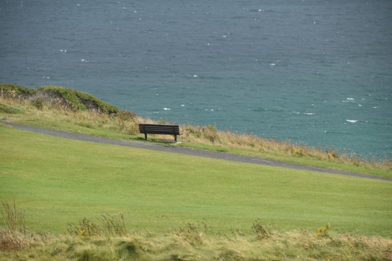 St Ives (37) (セント・アイヴス)