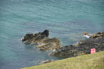 イングランド　コーンウォール州　セント・アイヴス　海　岩　美しい色