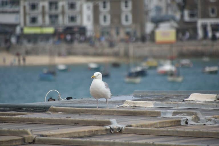 to St Ives by train