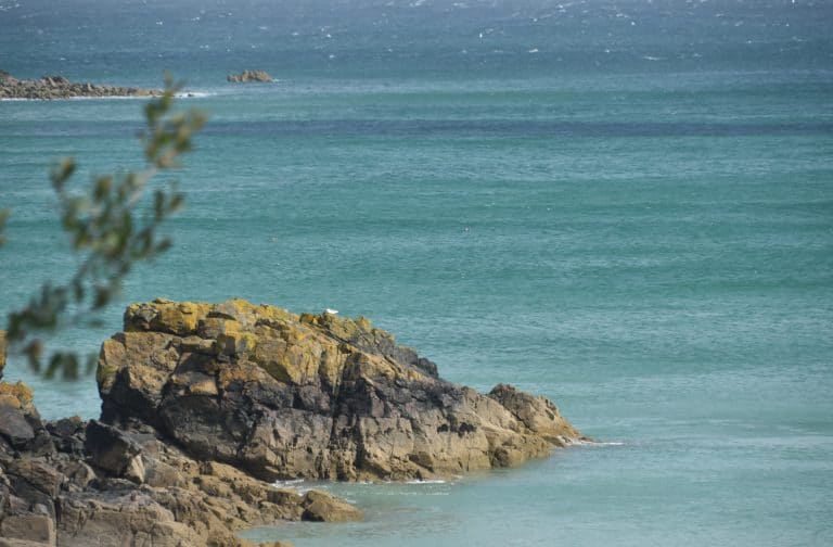 St Ives (98) (St Ives)