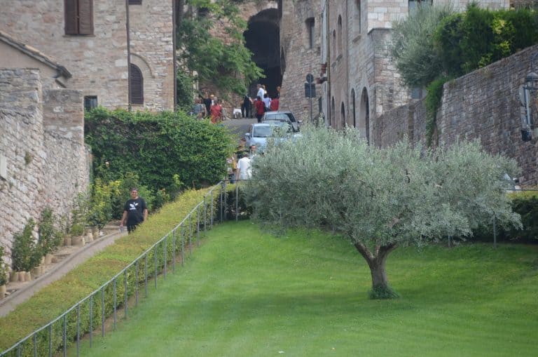 Assisi (32) (Umbría)