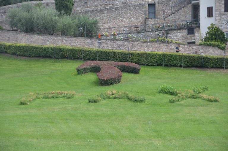 Assisi (34) (Umbría)