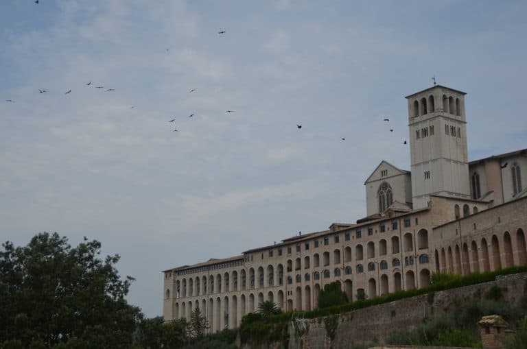Assisi (5) (Umbría)
