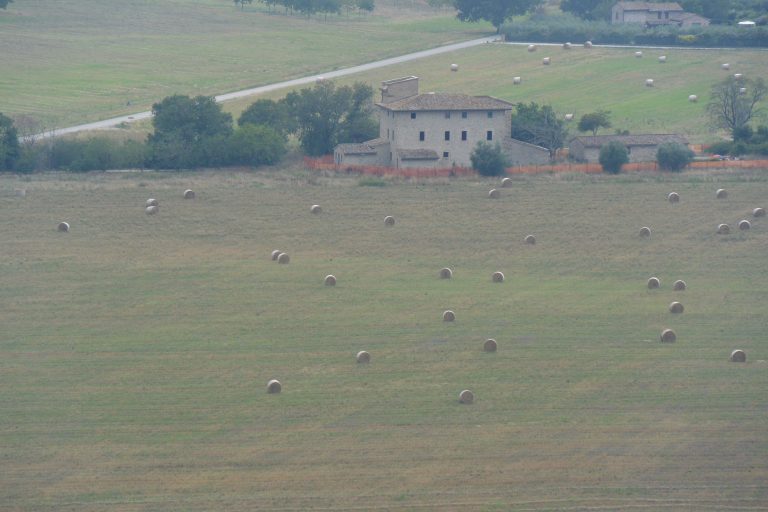 Assisi (54) (Umbría)