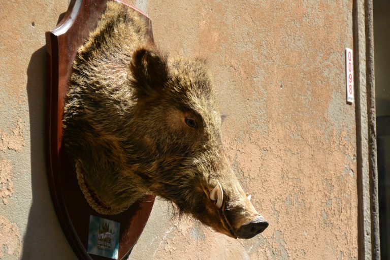 Nella stazione dove avevamo la coincidenza per Orvieto