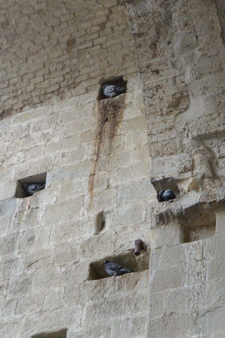 Perugia (117) (Umbría)