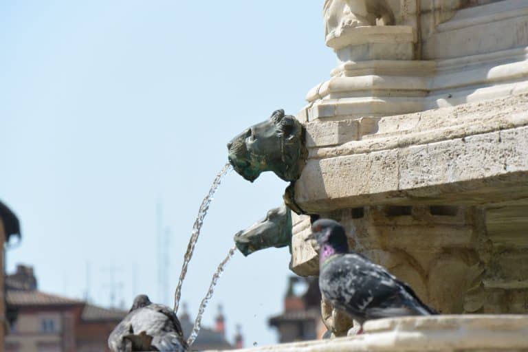 Perugia (52) (Umbría)