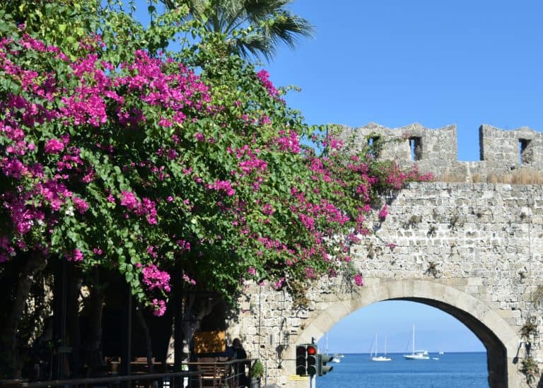 Rhodes Town (23) (Rodi (città))