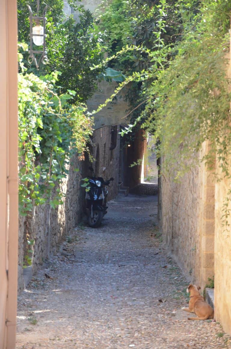 Rhodes Town (64) (ロドス)