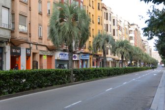 Spain-Zaragoza-street-palm trees