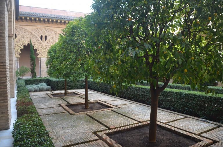 Zaragoza (44) (Zaragoza)