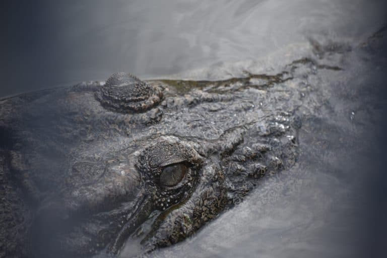 Beppu (38) (Oita) (Kyushu)