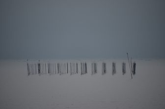 Japan-Kyushu-Kumamoto-Uto City-sea-grey-seaweed farm