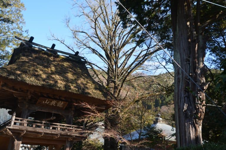 Yufuin (28) (Oita) (Kyushu)