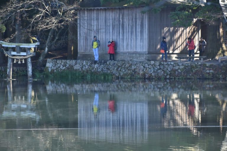 Yufuin (34) (Oita) (Kyushu)