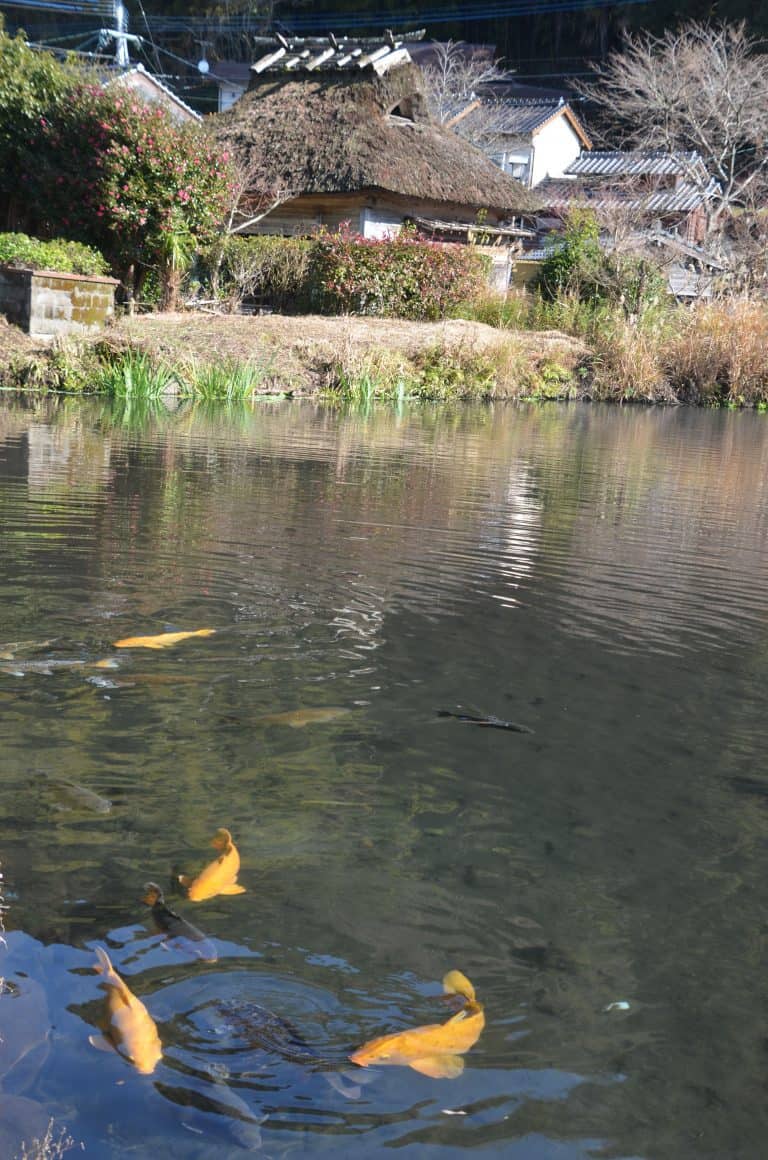 Yufuin (44) (Oita) (Kyushu)