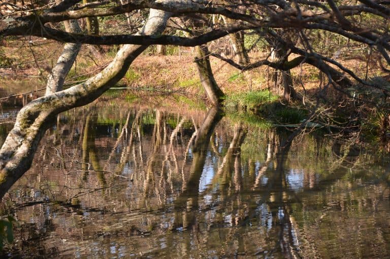 Yufuin (51) (Oita) (Kyushu)