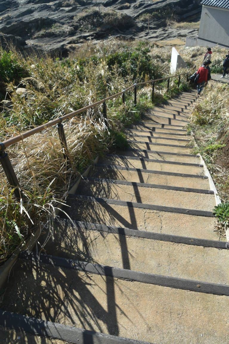 Misaki (33) (三浦市)