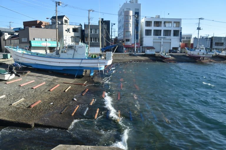 Misaki (43) (三浦市)