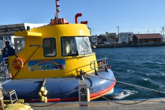 Japón-Kanagawa-Miura-Misaki Puerto-barco turístico-Nijiiro Sakana 