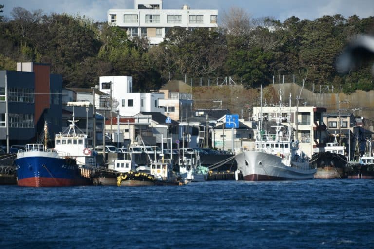 Misaki (47) (三浦市)