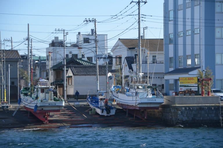 Misaki (50) (三浦市)