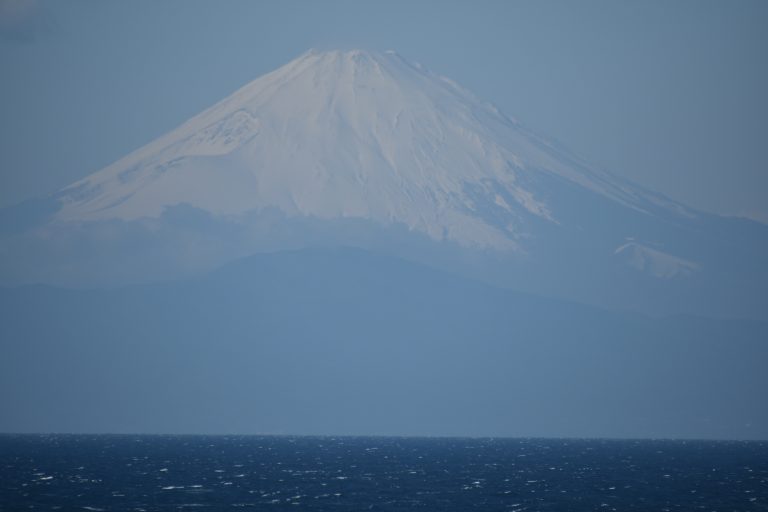 Misaki (9) (三浦市)