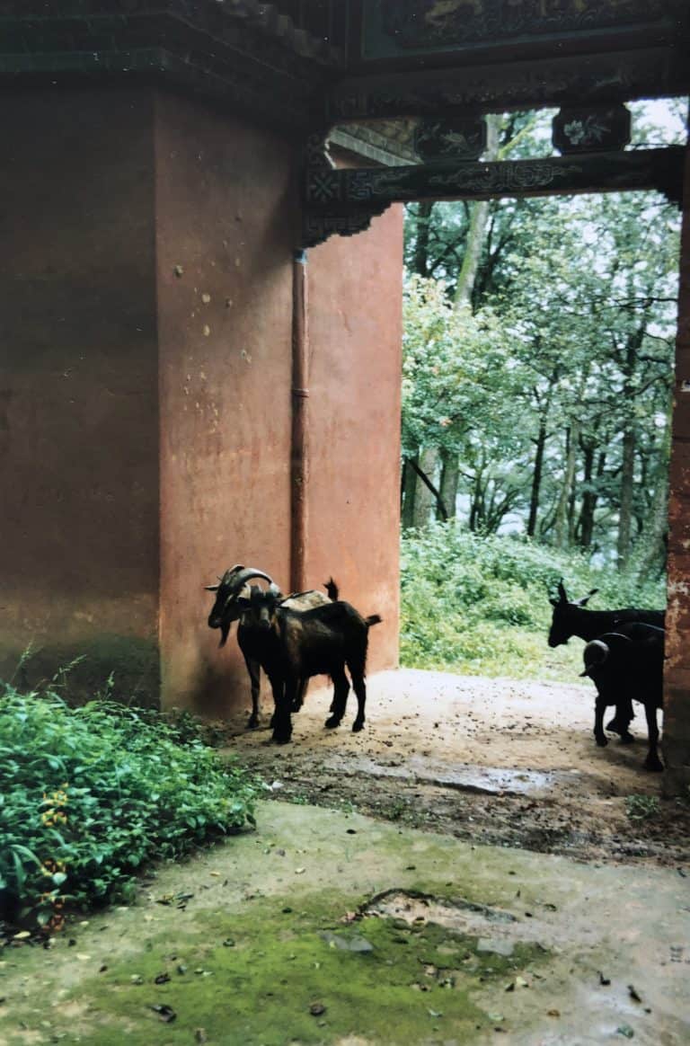 Kunming (22) (Kunming)