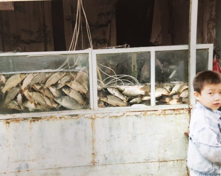 Lanzhou-China-Mercado-Pescado