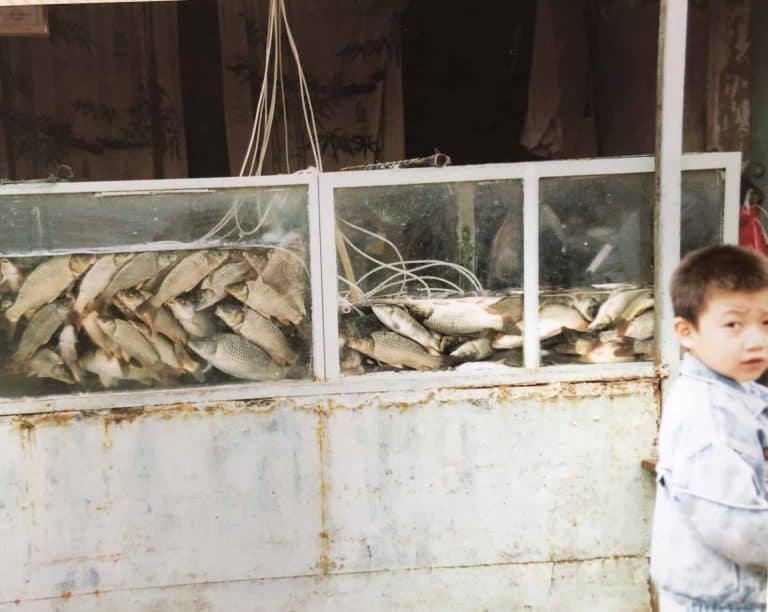 Lanzhou-China-Mercado-Pescado