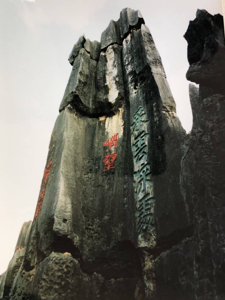 Shilin (9) (石林)
