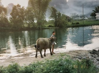 China-Yangshuo-niño-búfalo-río