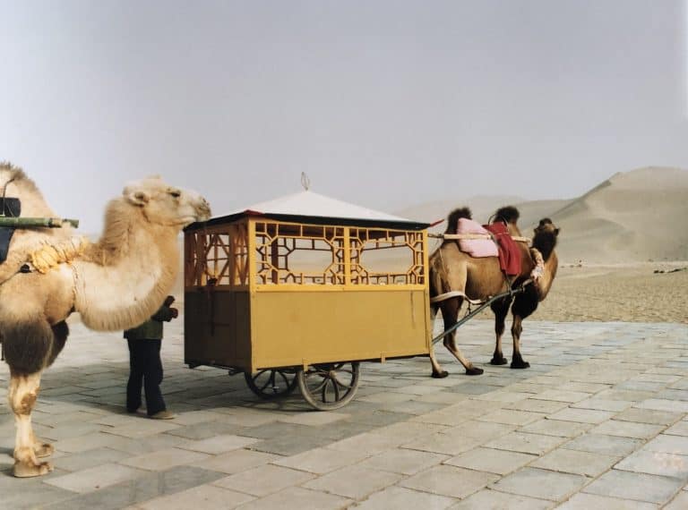 Dunhuang (8) (Dunhuang)