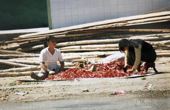 China-from Dunhuang to Hami-two women-chilli-working