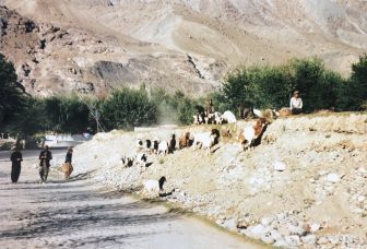 Pakistan-Gilgit-road-goats-shepherd-people